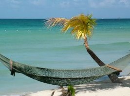 605471_jamaican_beach_hammock