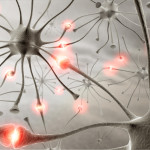 Synapses1-150x150