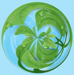 Circles-297x300