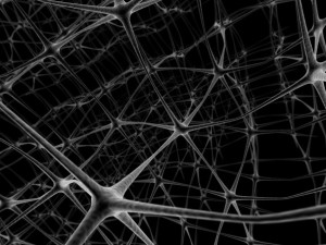 Neural_Web-300x225