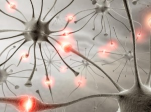 Synapses-300x224