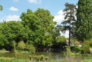 RHS-Wisley-300x201