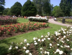 Regent's Park Rose Garden