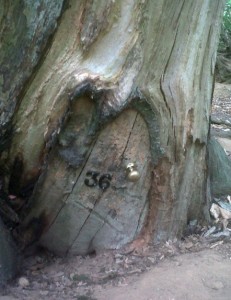 On closer inspection...