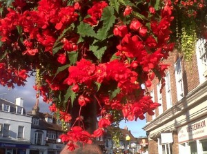 19.Lamp_.post_.begonia.4-300x223
