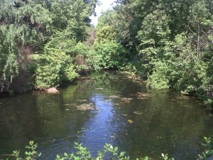 View from York Bridge, Regent's Park, London