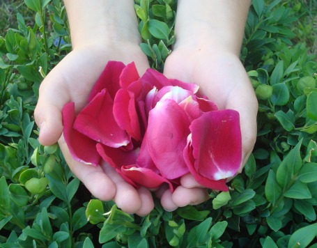 Giving is receiving