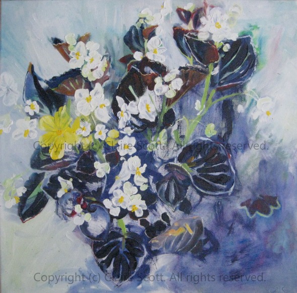 blue_begoniaClaire Scott