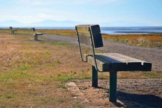 anonymous benches