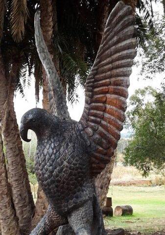 Fish Eagle - my favourite carving at Diemersfontein