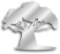 The Baobab Way